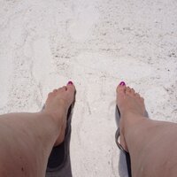 Dawn Becker (@dbecker5) 's Twitter Profile
