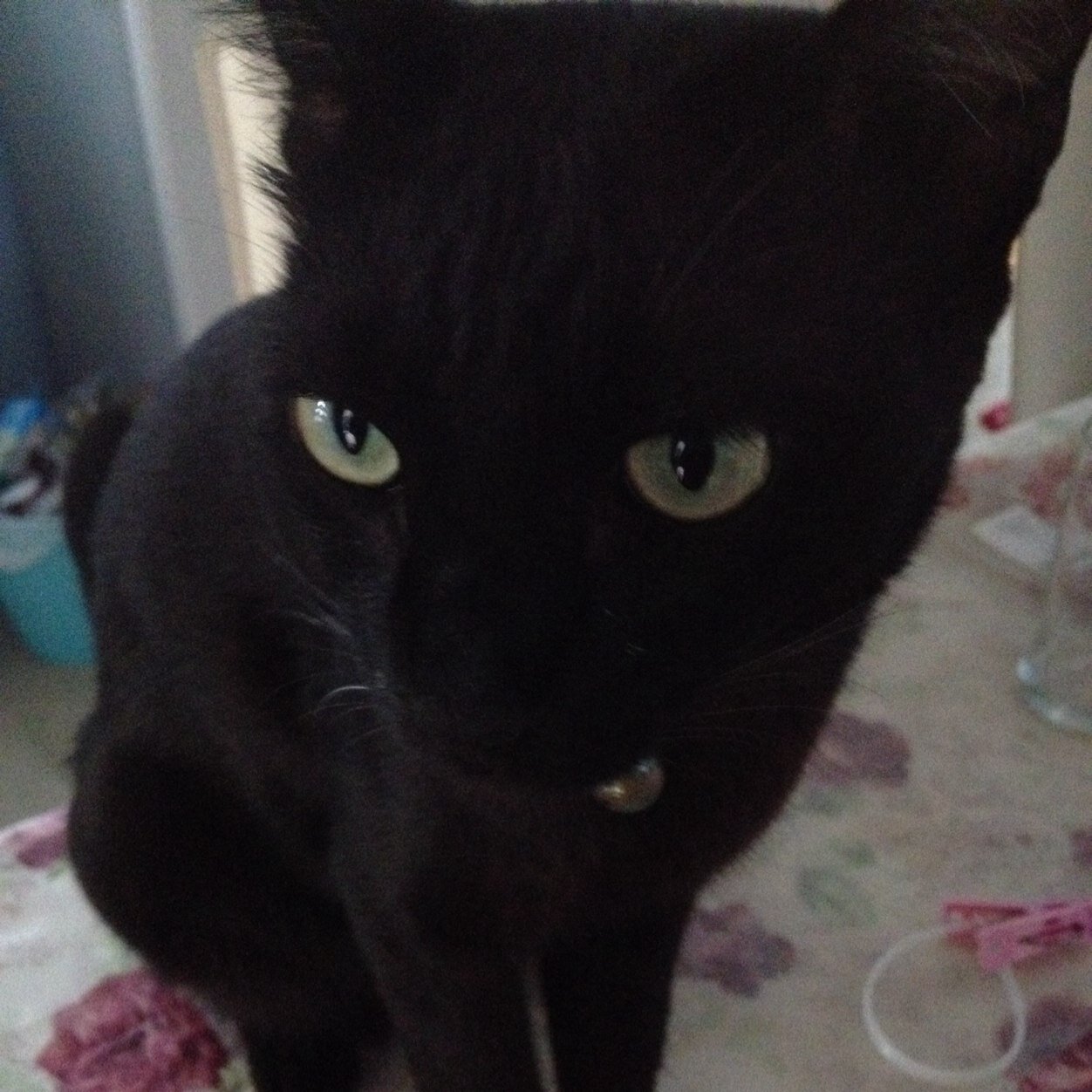 a_komn's profile picture. 