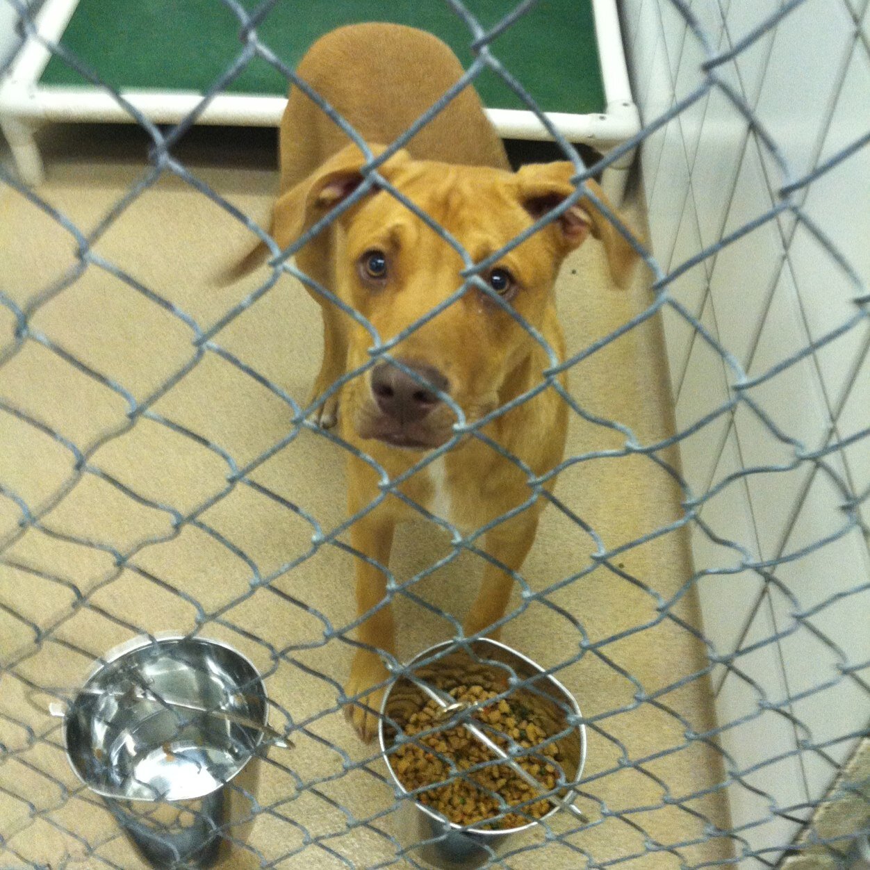 tim47676374's profile picture. ABC suck my D