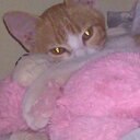 Doris Salgado - @salgado_doris - Twitter