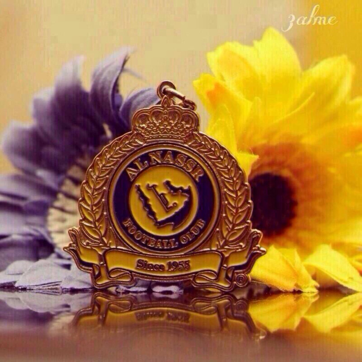 عآشق للگيآن النصرآوي ⒶⓁⓃⒶⓈⓈⓇ
