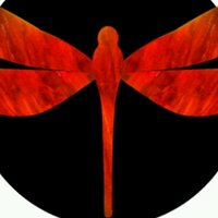 Dragonfly Group (@dragonflygroup_) 's Twitter Profile