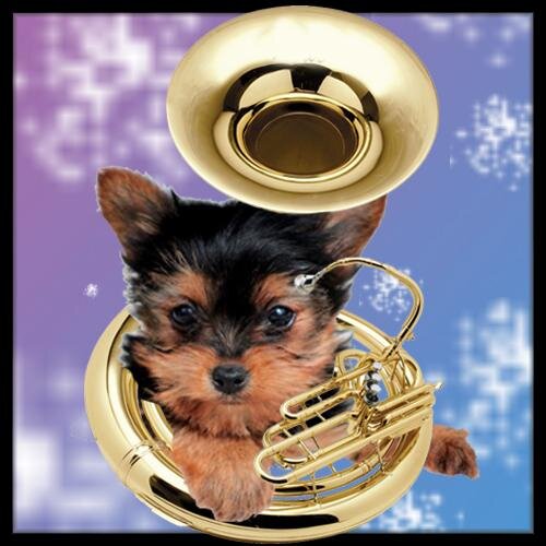 That awkward Christian brony asthmatic Tuba/Sousaphone kid. High functioning sociopath. Owner of dangly parts  est. 3/4/14