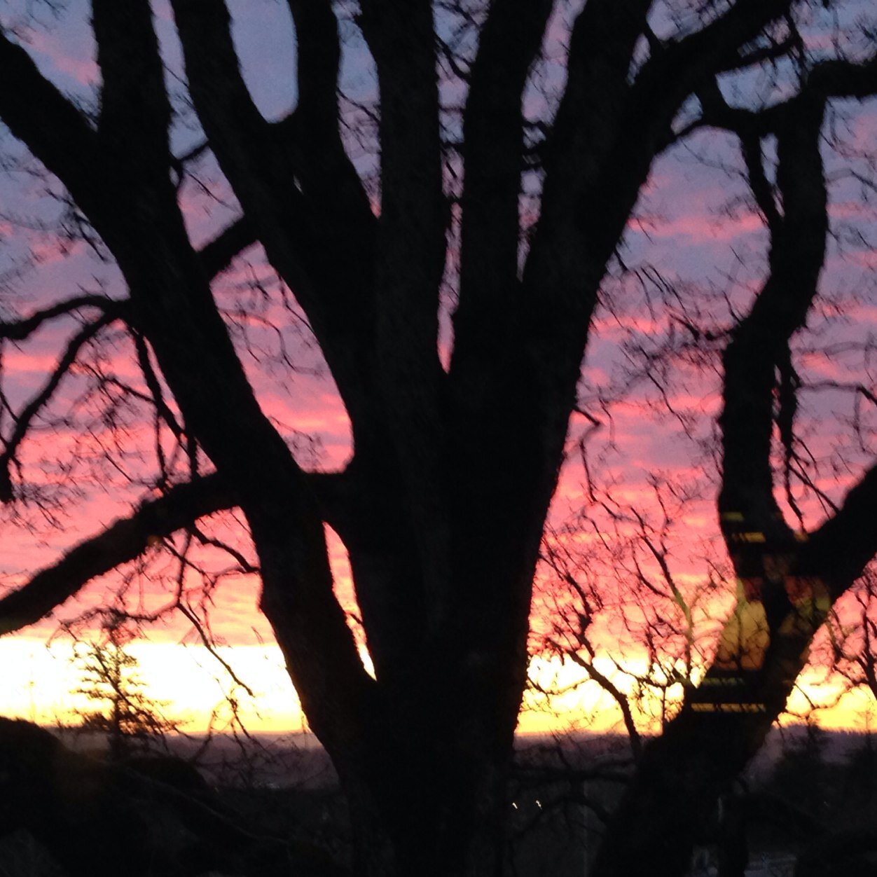 birdgolf32's profile picture. 