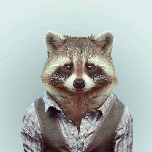 yoanrojas21's profile picture. 