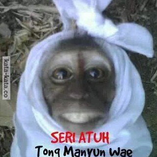 INzhep's profile picture. 