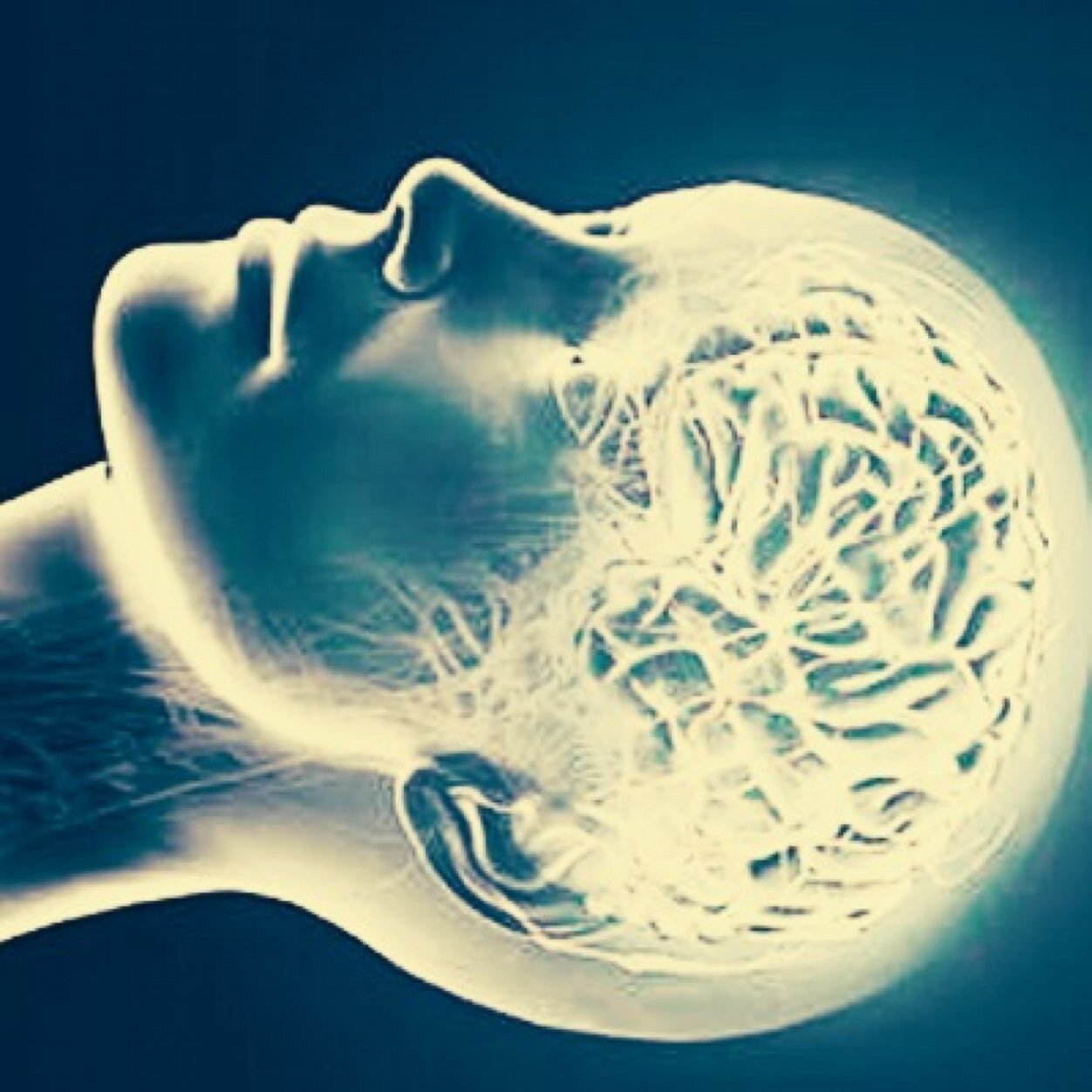 Learn something new every day, because There is so much to know in this universe.