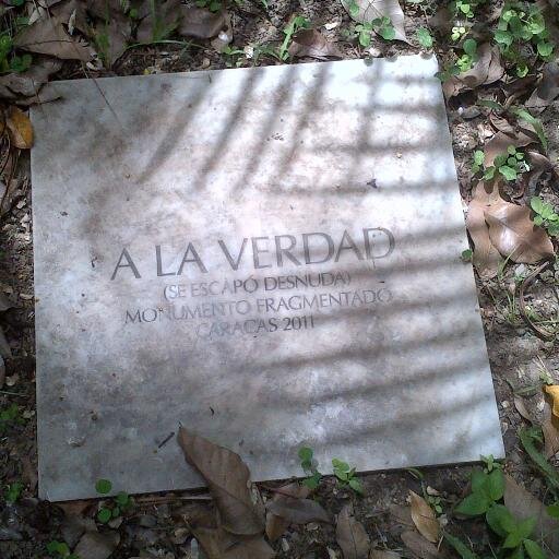 Prof. Universitario (UCV), Lic. Filosofía, Summa cum laude (UCV), MSc. Filosofía y Ciencias Humanas (UCV)