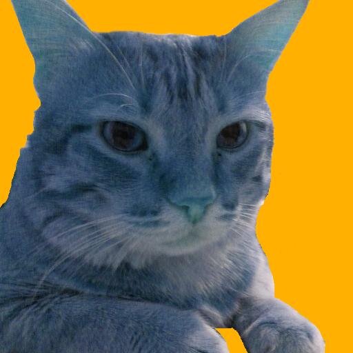 kafka3001's profile picture. google docs pro