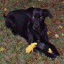 Paula Travis - @Pookiebear228 - Twitter