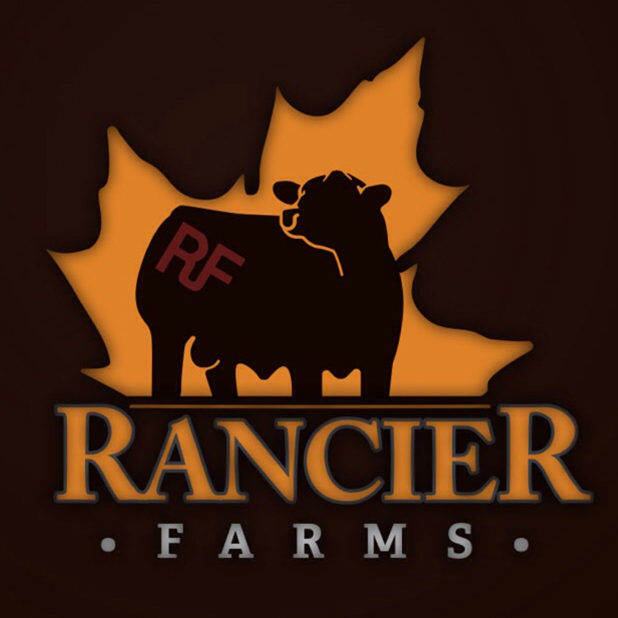 Raise purebred and percentage black and red Simmental cattle and Grain farm in central Alberta.