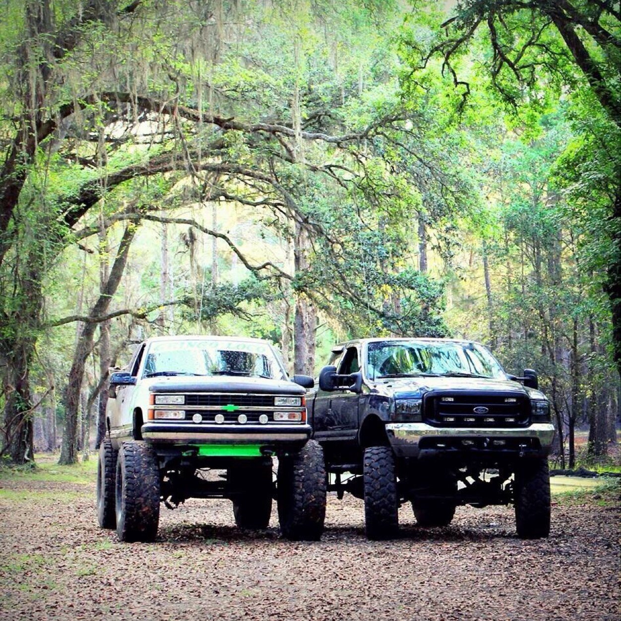 truckaddictions's profile picture. Send us your trucks! Give us a shouout for a follow back!