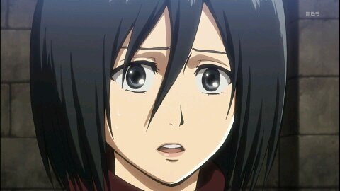 とんとん。さんのプロフィール画像