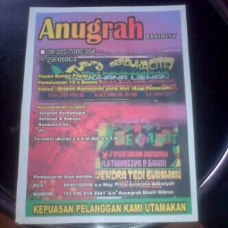 Menyediakan pemesanan bunga papan 2x3m 200rb 2x6m 400rb, pemesanan 10 gratis 1 . CP pipit 082182526196