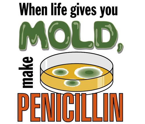 michiganenviron's profile picture. Is it Mold or Not Mold.... That should not be the question! Call us @248-632-8434 for Mold Testing Today!