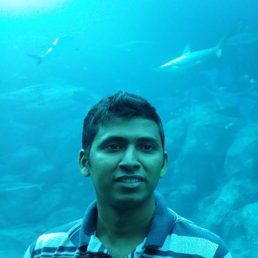 Software Engineer