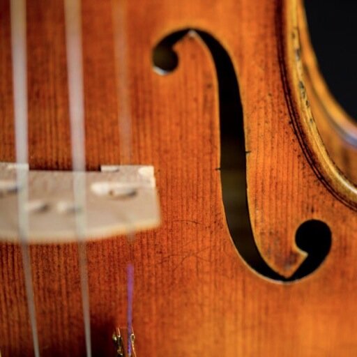 DolceViolins's profile picture. 