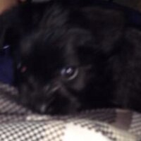 James Jannuzzio (@jannuzzio) 's Twitter Profile