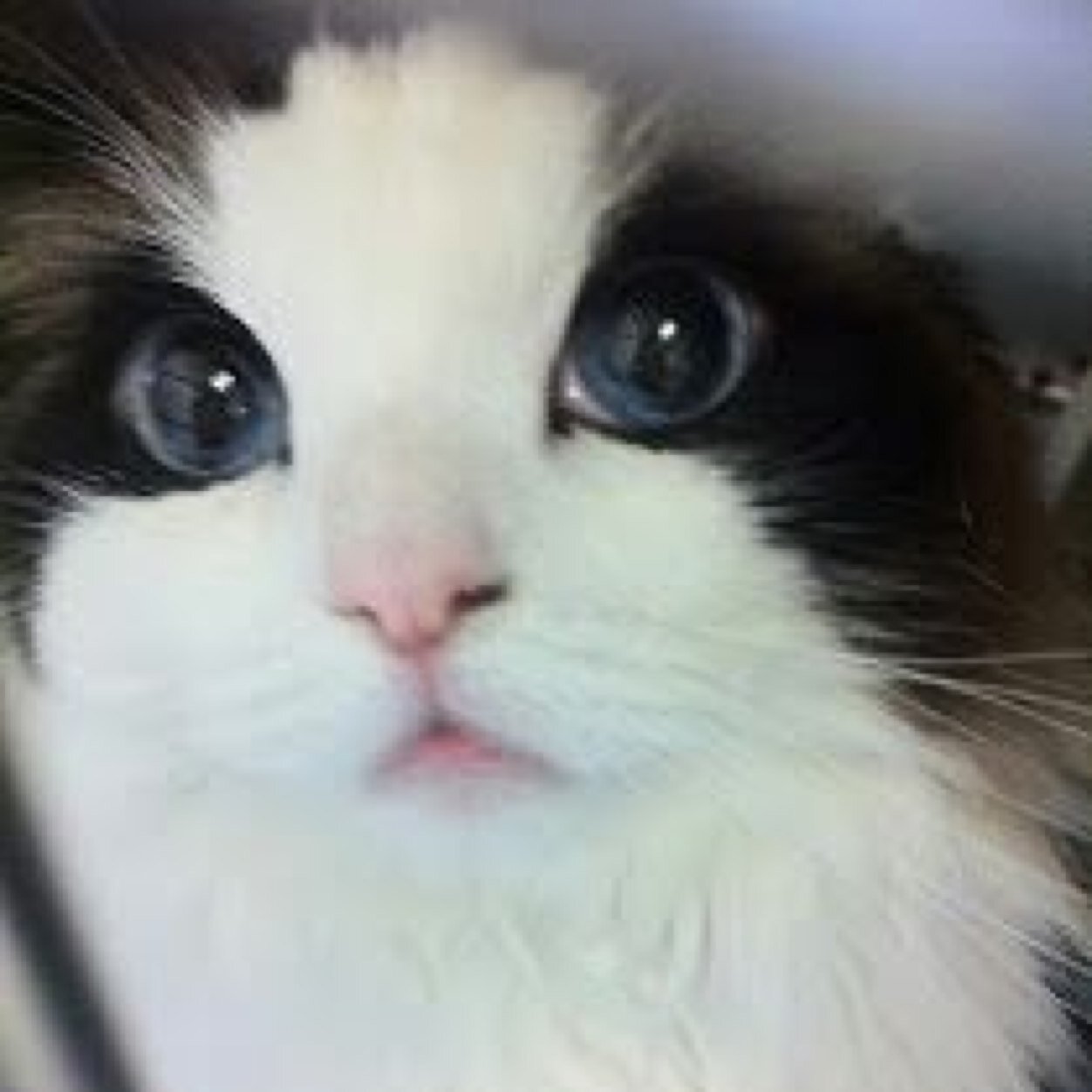 7772010Star's profile picture. 