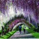 Tricia Hilton - @TriciaHilt0n - Twitter