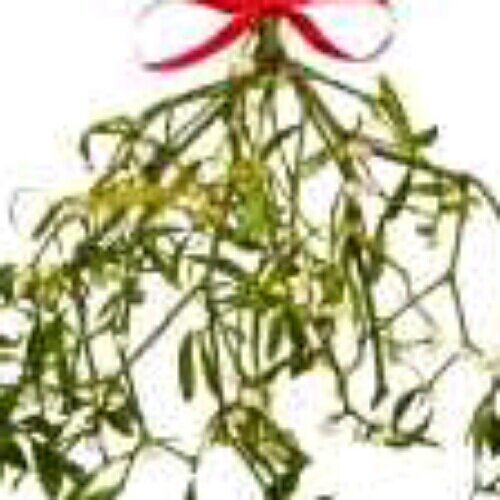 smileinducer's profile picture. 