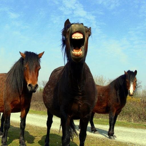 ekitado's profile picture. 