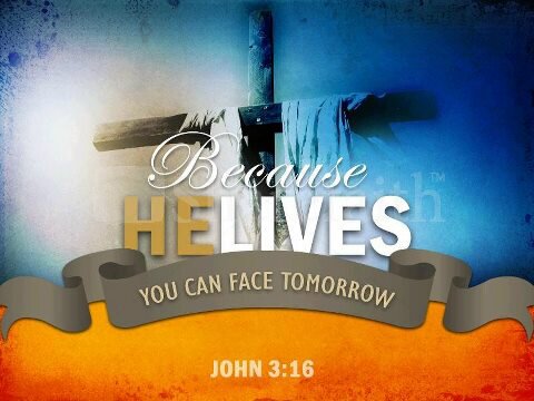Those who hope in the LORD will renew their strength. They will soar on wings like eagles.