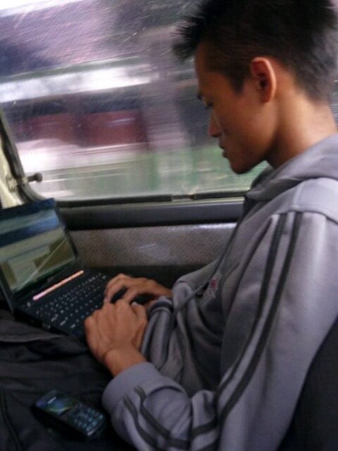 WordPress Programmer & Content Writer