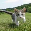 Ashley Wolfram (@01628995837) Twitter