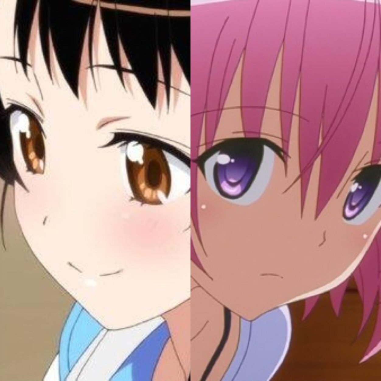 ニセコイ&Toloveる@小咲モモ推しさんのプロフィール画像