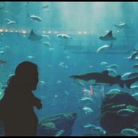 Catarina Queiroga (@ac_queiroga) 's Twitter Profile
