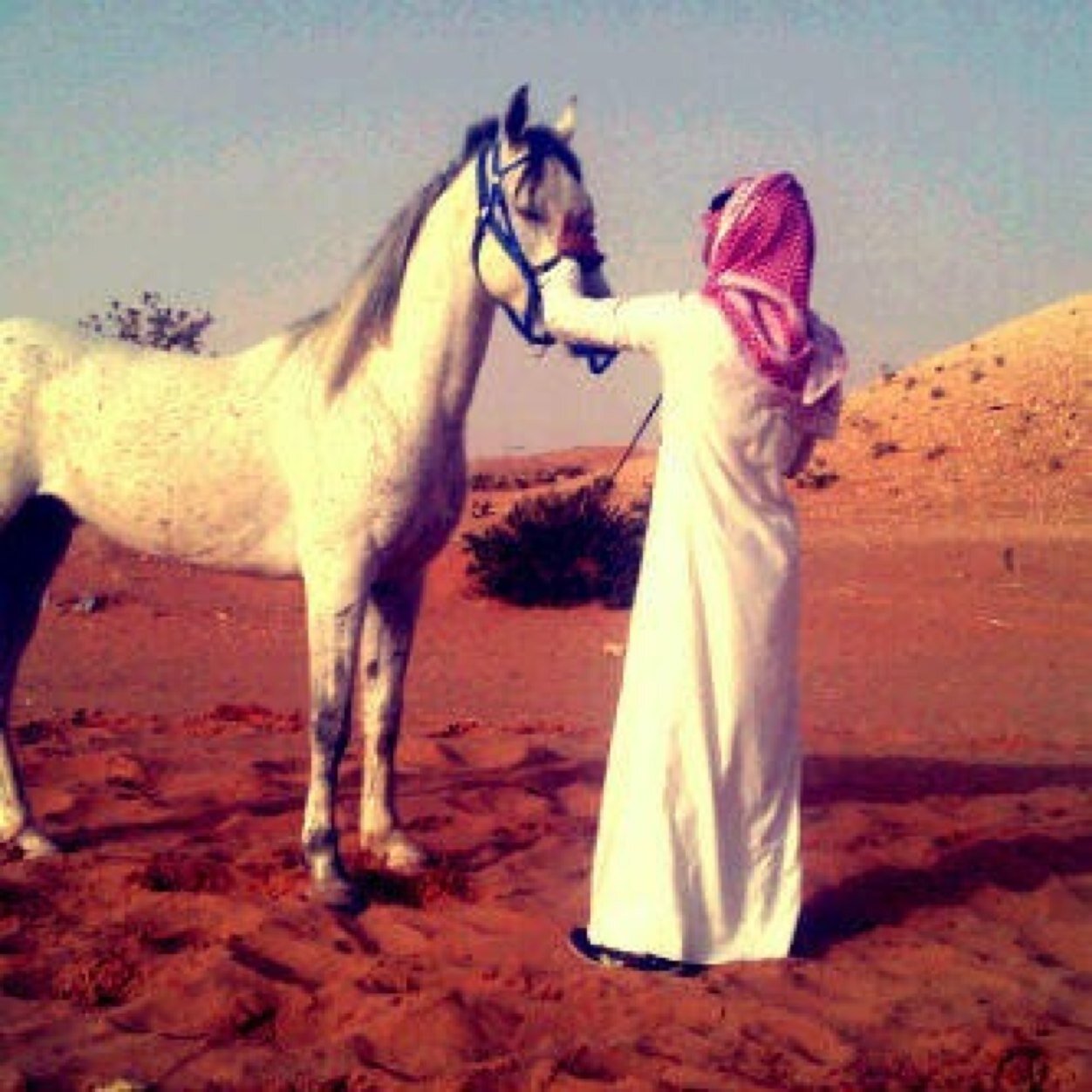 سبحان الله وبحمده