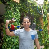 ahmed sameh (@sameh1ahmed) 's Twitter Profile