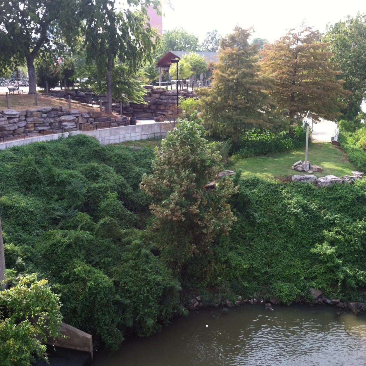 LovelyLadyMarlo's profile picture. 