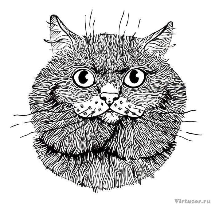 #followback #ВзаимныйФолловинг
