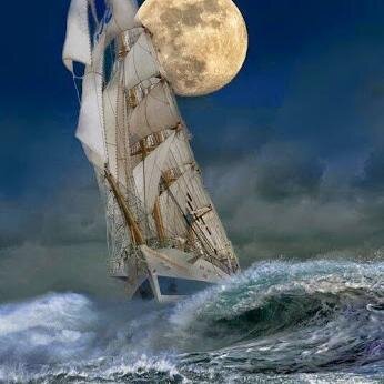 yacinemerzouk1's profile picture. 