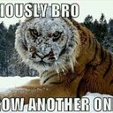 Adrian Higgs - @HiggsAdrian - Twitter