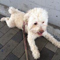 hiro (@hiro3jsa3) 's Twitter Profile