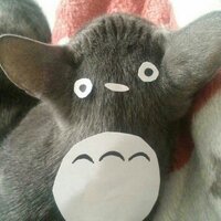 유영 (@bjbjwoon) 's Twitter Profile