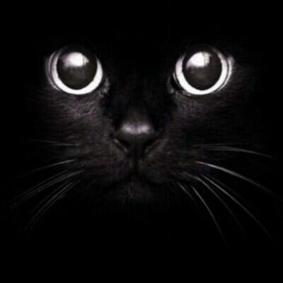 ‏‏‏‏‏اكتفي بقول لا اله الا الله