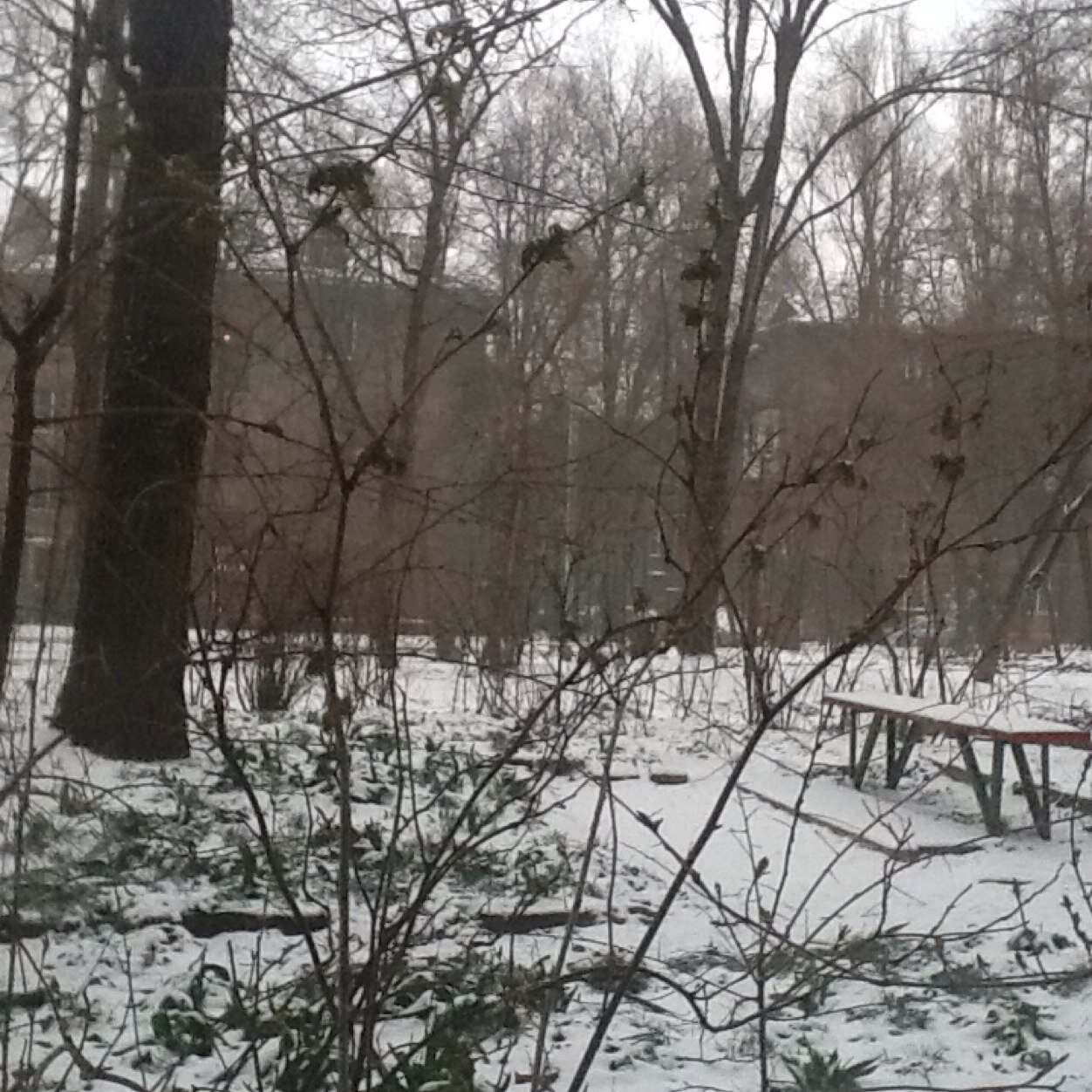 valgoncharenk's profile picture. 