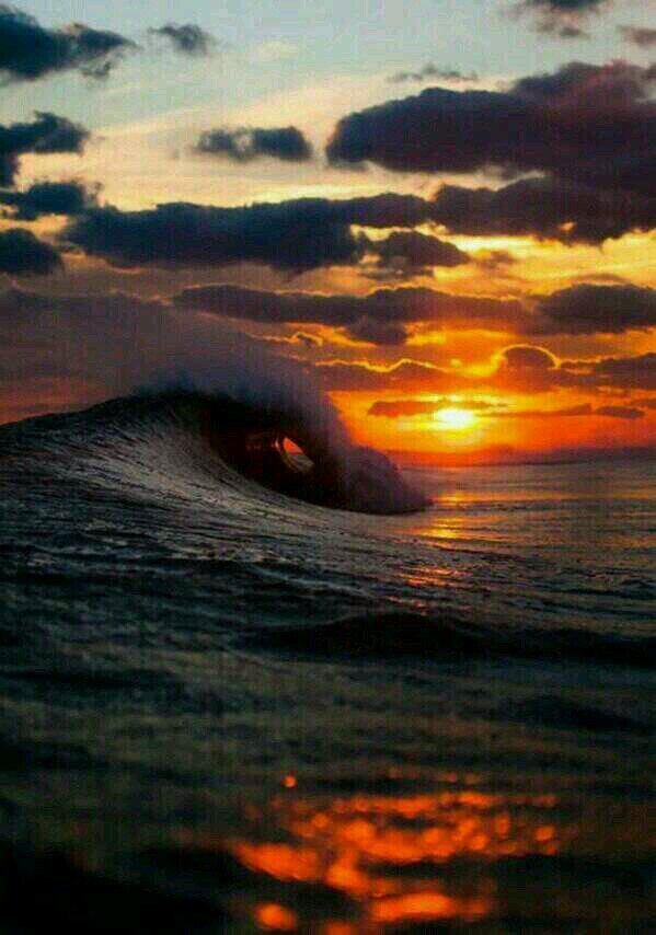Surrender is not my nature