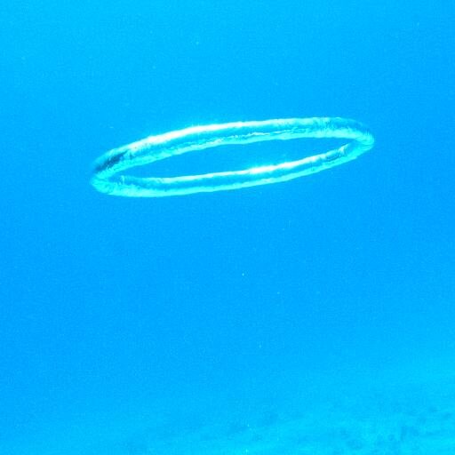 Neekomegas's profile picture. 