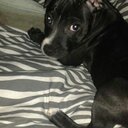 Michael Crosbie - @CrosbieMichael - Twitter