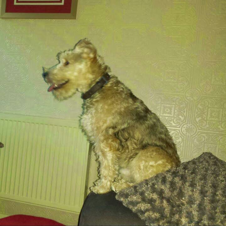 0a916e9132ce4f5's profile picture. 