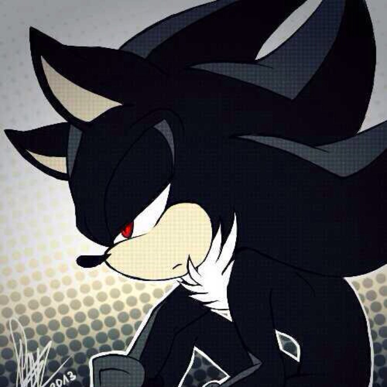 I'm Shadow.......shadow the hedgehog the world's Ultimate lifeform! I will protect the humans, as she wish #RP #Taken by @TechnoReina