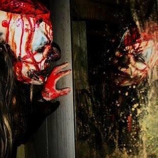 Maggot ۞