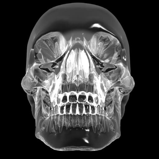 Hunter for the truth about UFOs, Bigfoot, Ghosts and any other unsolved mysteries.