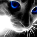 Loredana (@5ba040ef63e6488) Twitter