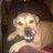 Kobus_62788's profile image